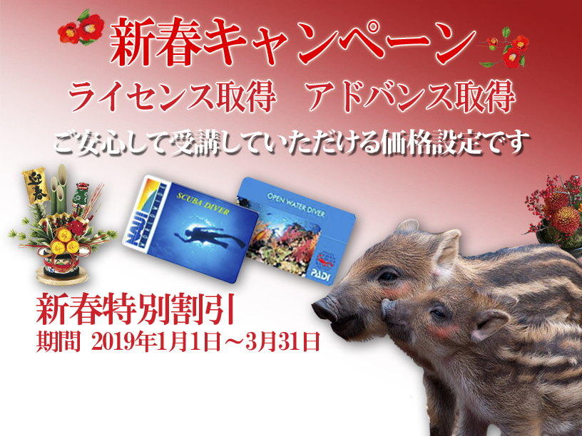 新春キャンペーン ライセンス取得割引キャンペーン