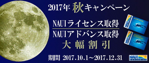 2017年遠征ツアー情報