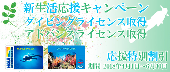 ライセンスキャンペーン