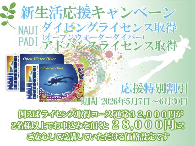 ダイビングライセンス取得割引キャンペーン