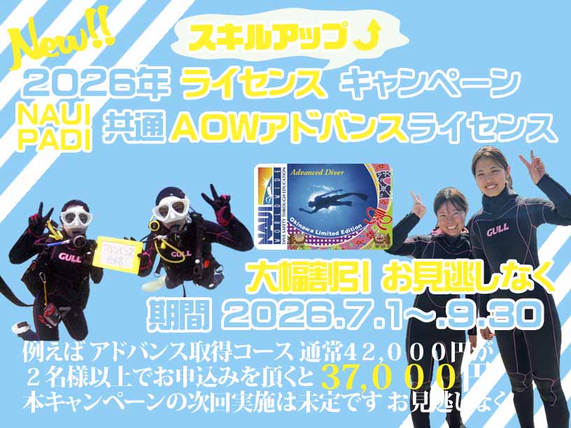 夏割 格安 キャンペーン