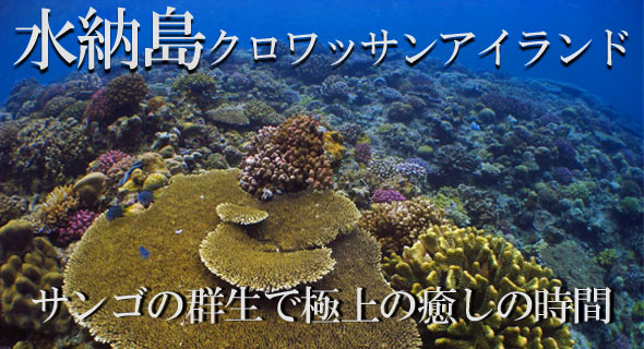 沖縄 水納島 遠征ダイビング